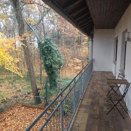 Hotel Hopener Wald ,Self Check In Lohne  Bagian luar foto